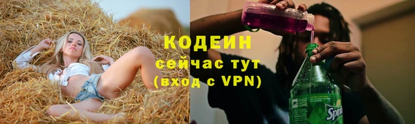 spice Богданович