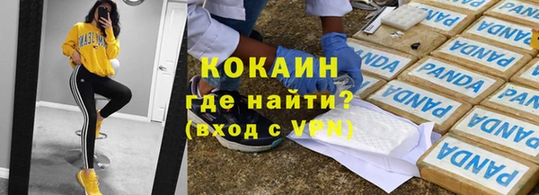 спиды Богородск