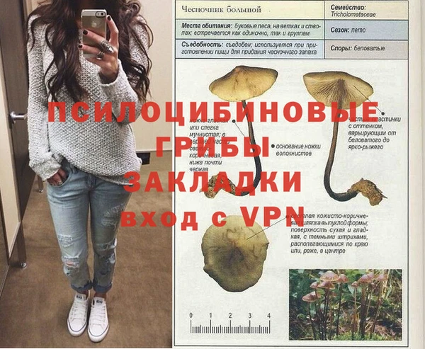 спиды Богородск