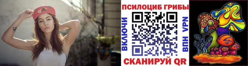 Псилоцибиновые грибы Magic Shrooms  Дудинка 